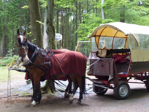 Odenwaldklubhütte Rüsselsheim