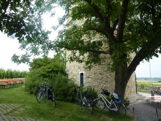 Flörsheimer Warte