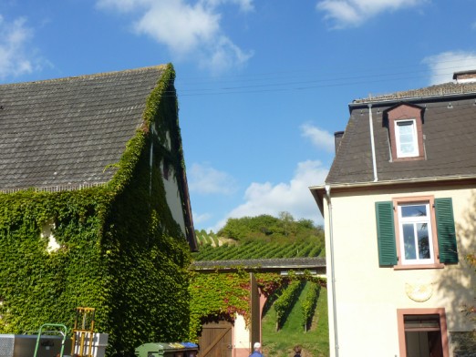 Gutsschänke Udo Ott Frauenstein